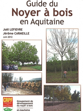 Guide du Noyer à bois en Aquitaine